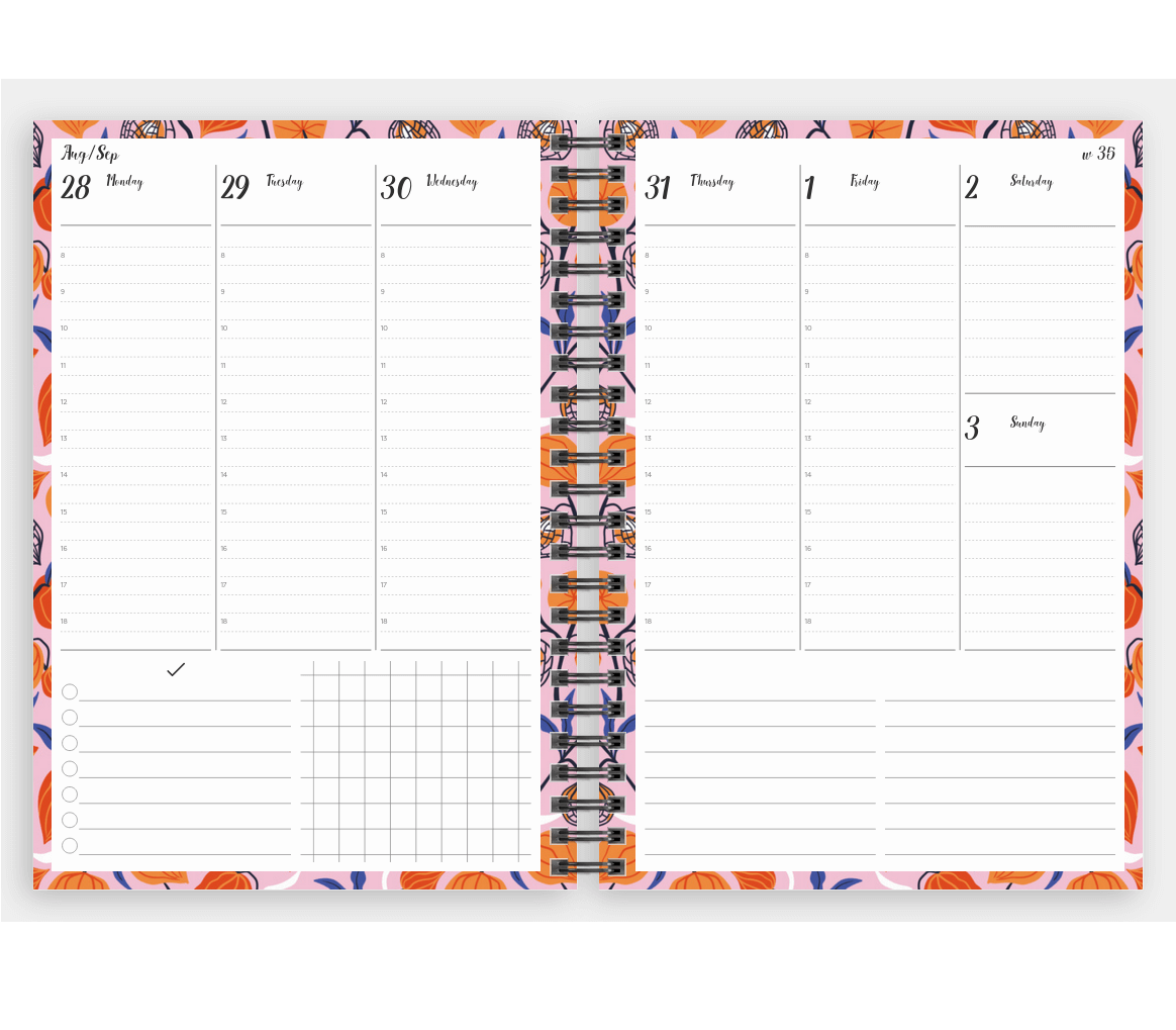 Screenshot of a frame