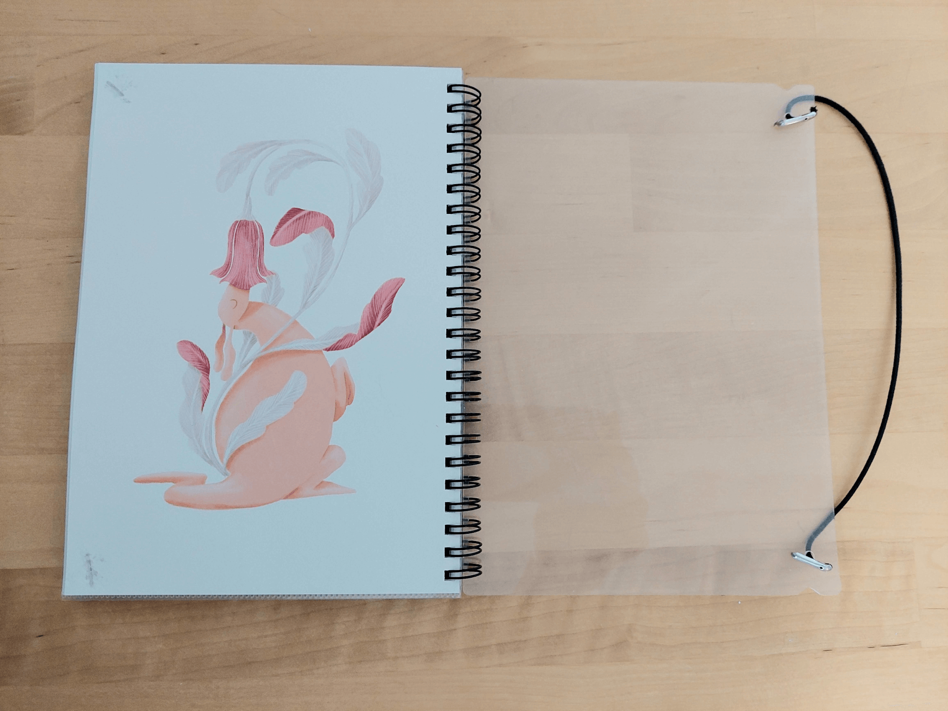 Photo of elastic issue